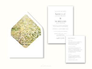 White envelope with a printed liner showing a fruit tree in bloom.