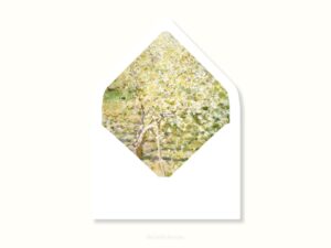 White envelope with a printed liner showing a fruit tree in bloom.