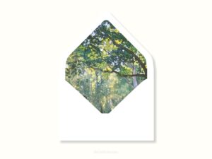 White envelope with a printed liner showing painted forest scene.