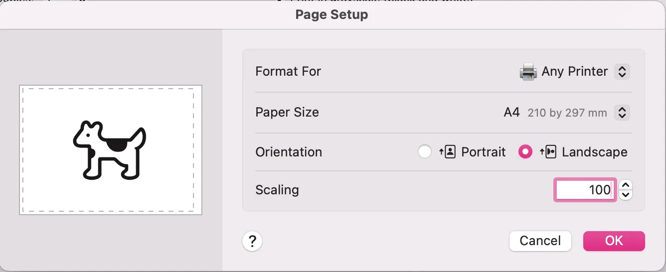 A screenshot of the A4 page setup settings window in Adobe Acrobat Reader.