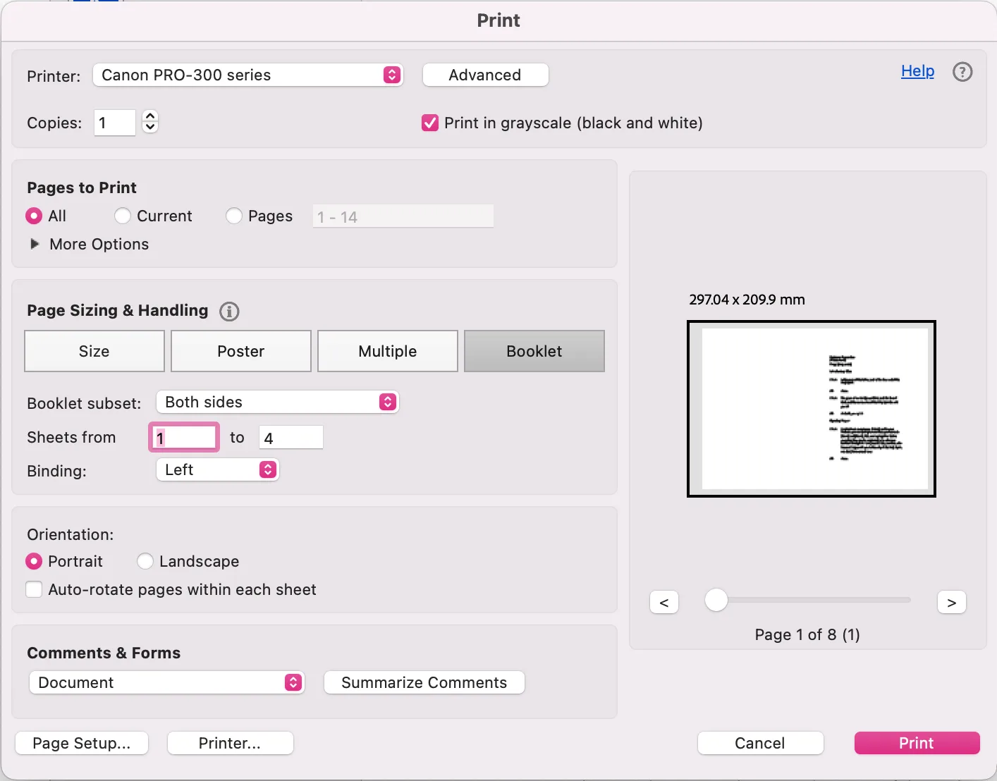 A screenshot of the booklet print settings window in Adobe Acrobat Reader.