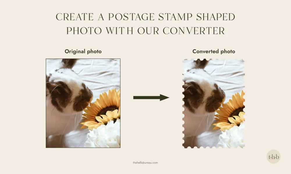 Before and after example showing a photo converted into a postage stamp shaped cutout with a scalloped edge.